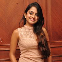Sheena Shahabadi at Nuvve Naa Bangaram First Look Release Photos | Picture 599526